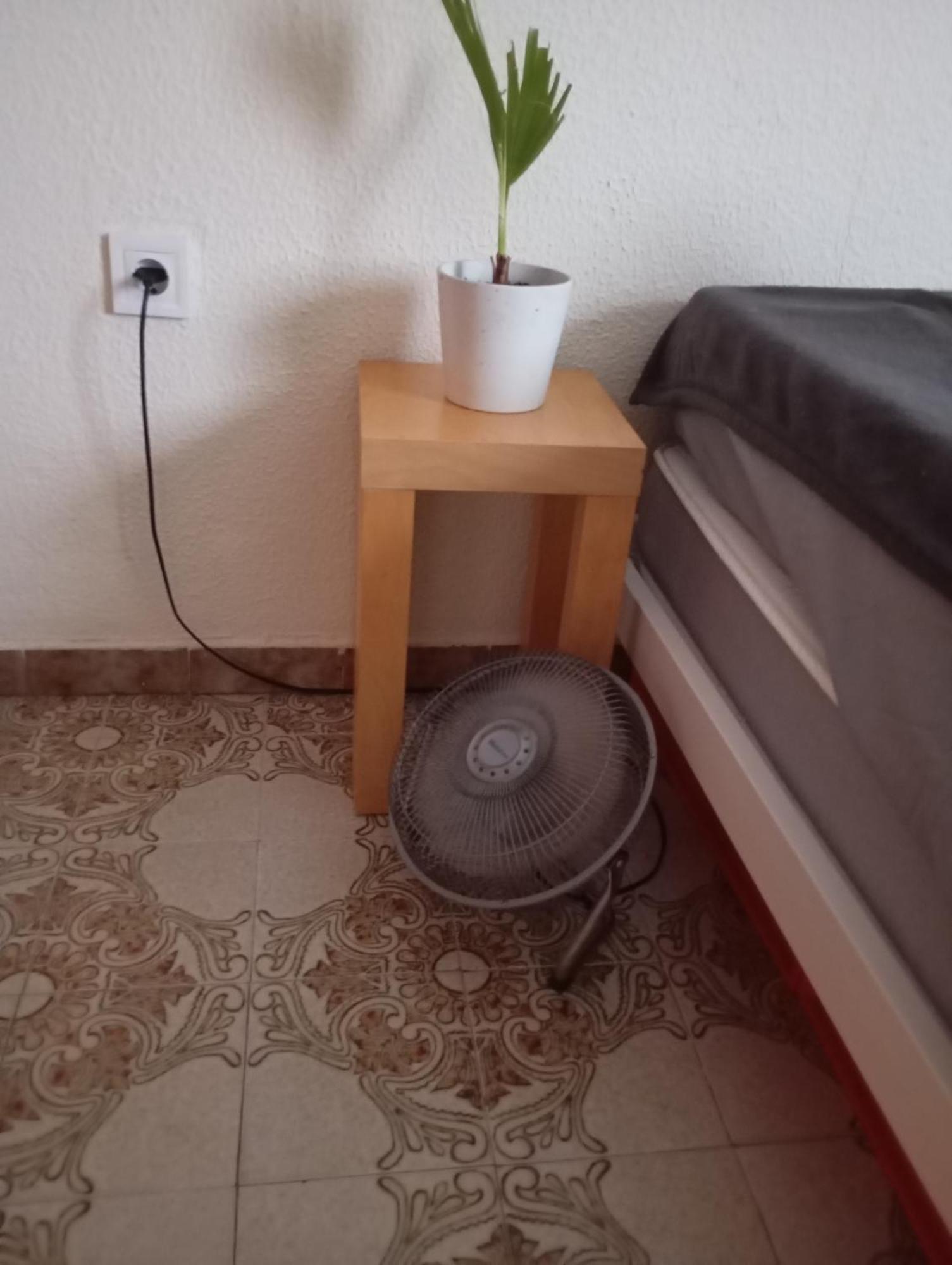 Grosses Modernes Zimmer "Silber" Fuer 2 Personen Und Katzenliebhaber Valencia Luaran gambar
